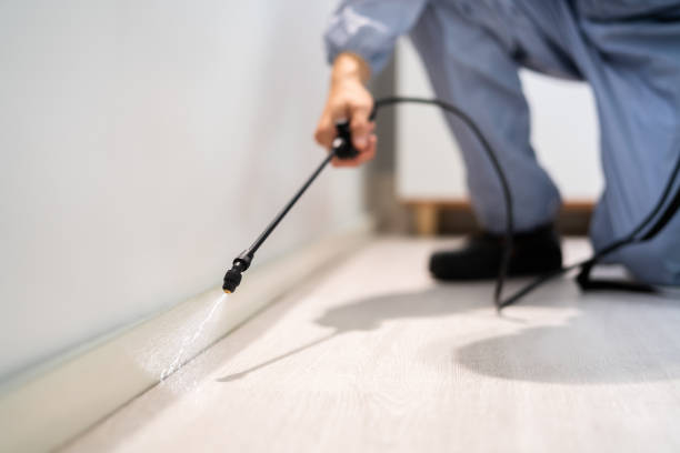 Bed Bug Pre-Treatment Preparation Assessment in Point of Rocks