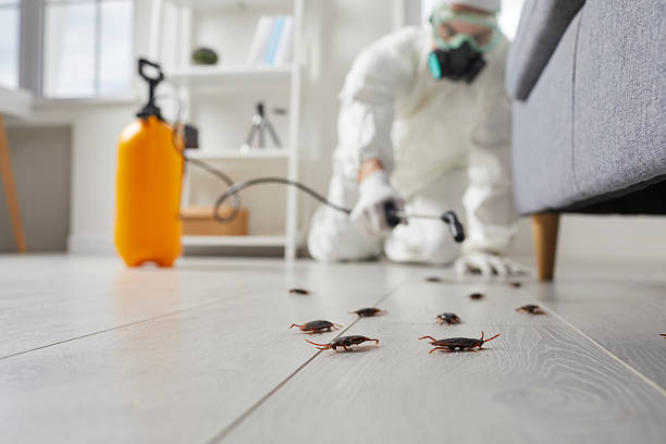 Post-Treatment Bed Bug Interceptor Monitoring in Point of Rocks