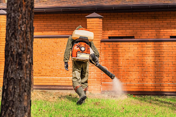 Bed Bug Clearance Verification and Documentation in Point of Rocks
